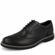 Leather Lace Up Touch Fastening School Trainers